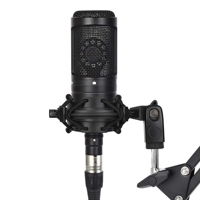 Cardioid Condenser Studio XLR Microphone 2020 Microphone Bundle Shock Mounts and XLR Cable for Project/Home Studio Applications